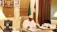 Honeymoon Over! Buhari Tagged 'Baba Go Slow'