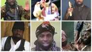 Shekau's Absence In New Video Raises Concerns