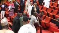 Report on Senate invasion, mace theft ready - Saraki declares