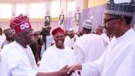 APC leaders, governors set to persuade President Buhari over party's convention