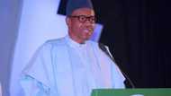 Buhari tells Nigerians who is to blame for hike in food prices, reveals his next action