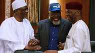 Ana wata ga wata: Hular kamfe ɗin shugaba Buhari ta hallara a zaman majalisa