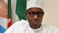 Kowa ya bi: Tsaffin tsegerun Neja-Delta sunci alwashin sai Buhari ya yi tazarce