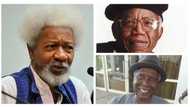 Why Nigerian authors are not celebrated like musicians