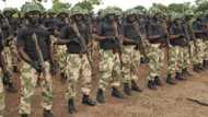 Kowa ya sai rariya: Sojoji sun damke wasu gayu 2 masu ci da guminsu