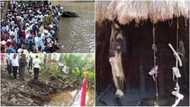 7 sacred places in Nigeria where people will go to find solution to their problems this weekend (Pictured)