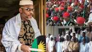 Northern youths feeling cheated and angry with old men from Nnamdi Kanu’s place - Northern elders