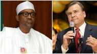 How Nigerian leaders can end killings in the country - US ambassador