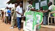 2023 presidency: Security expert predicts low voter turnout in suburbs, give reasons