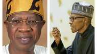 We have already started restructuring Nigeria - Lai Mohammed