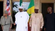 See how buhari, ECOWAS leaders discuss how Jammeh will step down