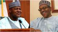 2019: Major boost for Buhari, Dogara as Bauchi coalition endorses president for second term, passes vote of confidence on speaker