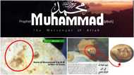 11 MIRACLES performed by Prophet Muhammad you have never heard of before