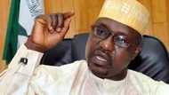 Deputy Senate president reveals Ahmed Gulak's last assignment before he was assassinated