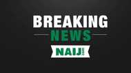 UPDATE: Two Suicide Bombers Hit Shi'ite Muslim Procession In Kano, Kill 15