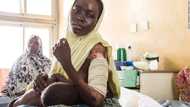 SEE Shocking Boko Haram Death Toll Since PMB Came To Power - Every 2 Hours One Nigerian Killed