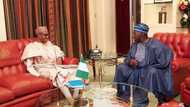 OBJ’s third force has no grassroots support, it will fail to stop Buhari in 2019 - PPA