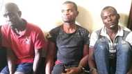 Halin ɓera: Wasu ɓarayin shinkafa sun gamu da ɗaurin shekaru 9 a gidan Maza