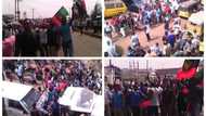 JUST IN: Massive Biafra protest hits Enugu over President Buhari’s visit (photos/video)