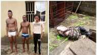 After death of delivery man, Jumia rep says payment would now be before delivery (photos)