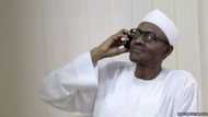 Read what Buhari told Oshiomhole on the phone after APC's victory in Edo