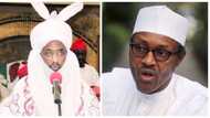How to win the war against corruption in just 6 months - Emir of Kano lectures Buhari govt