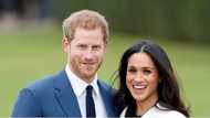 Royal wedding: Prince Harry and Meghan Markle’s wedding to reportedly cost N15bn