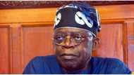 2023: Manyan 'yan siyasa 5 da zasu iya taimakon Tinubu ya cimma burinsa na samun takara a APC