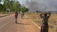 Suspected herdsmen kill one, rustle 9 cows owned by Catholic Archbishop in Plateau state
