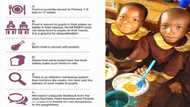 FG announces 6 strict rules guiding school feeding program
