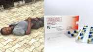 Bayan kwanaki 9 yana bacci, mai garkuwa a mutanen da ya sha Tramol ya sheka lahira
