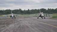 NAF fighter aircraft neutralises scores of fleeing Boko Haram terrorists