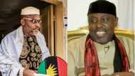 You will leave government house in 2019 and go back to Jos - Nnamdi Kanu tells Rochas Okorocha