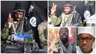 6 very cold threats Shekau made in his latest appearance