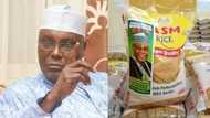 Atiku Abubakar speaks out after bags of rice with his photos and campaign slogan for 2019 allegedly flood Nigeria (photo)