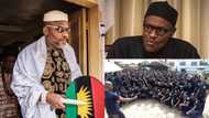 Ignore Nnamdi Kanu, take his messages - Group tells Buhari