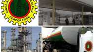 Brief overview of the NNPC's history - Top facts to know