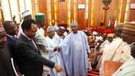 REVEALED! Nigerian Senate frustrating confirmation of Buhari's nominees