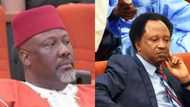 Da dumi dumi: Sanata Dino Melaye ya yi kumfar baki kan ficewar Shehu Sani daga APC