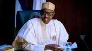 Buhari is Nigeria’s first sensitive, reasonable leader - Gani Fawehinmi's son