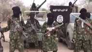 Panic in North east as Boko Haram returns to Sambisa