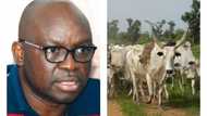 2 gun-carrying herdsmen land in BIG trouble for destroying farmland in Ekiti state
