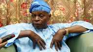 Arms Deal: Why I Won't Return N100 Million Received From Anenih - Falae Speaks Up