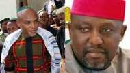 JUST IN: South-East governors set to meet Buhari over Nnamdi Kanu's release (photo)