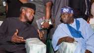 2023: Tinubu, Osinbajo should step down for fairness, lawmaker says