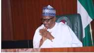 President Buhari to federal universities: I have approved N208bn for your infrastructure