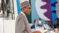 International investors hail Nigeria’s potential for growth and development under Buhari's government