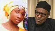 Leah Sharibu: We are busy on daily basis asking and negotiating for remaining Dapchi girls - Lai Mohammed