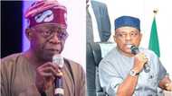 Do not be deceived again - PDP tells Tinubu