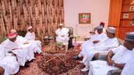 Blame governors for poverty in Nigeria, not Buhari - Envoy